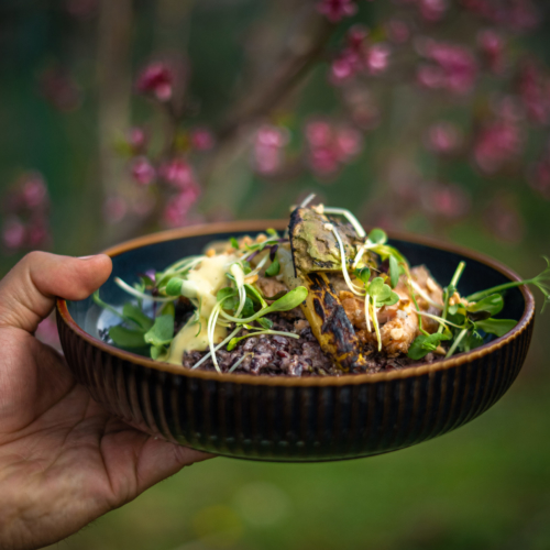 PHOTO CULINAIRE